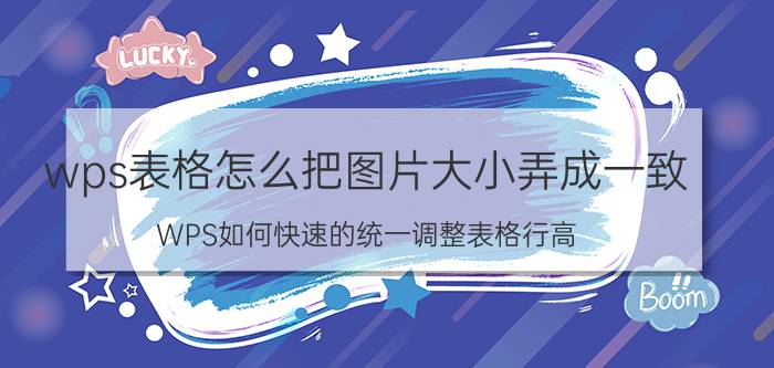 wps表格怎么把图片大小弄成一致 WPS如何快速的统一调整表格行高？